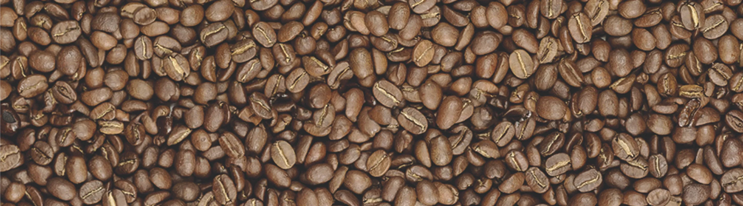 Medium Roast Coffee Beans